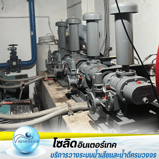 จำหน่ายปั๊มสูบน้ำ - จำหน่ายปั๊มซูรูมิ - โซลิด อินเตอร์เทค จำหน่ายปั๊มสูบน้ำ - จำหน่ายปั๊มซูรูมิ - โซลิด อินเตอร์เทค